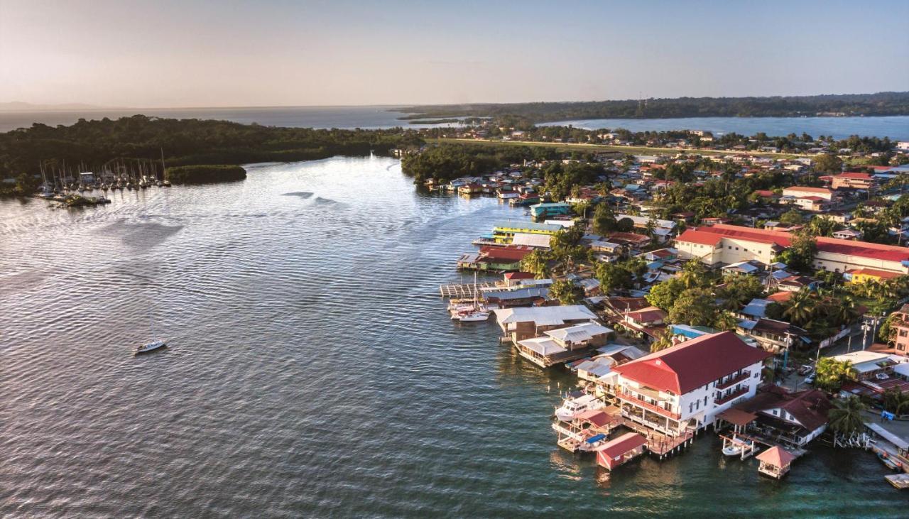 Divers Paradise Boutique Hotel Бокас Екстер'єр фото