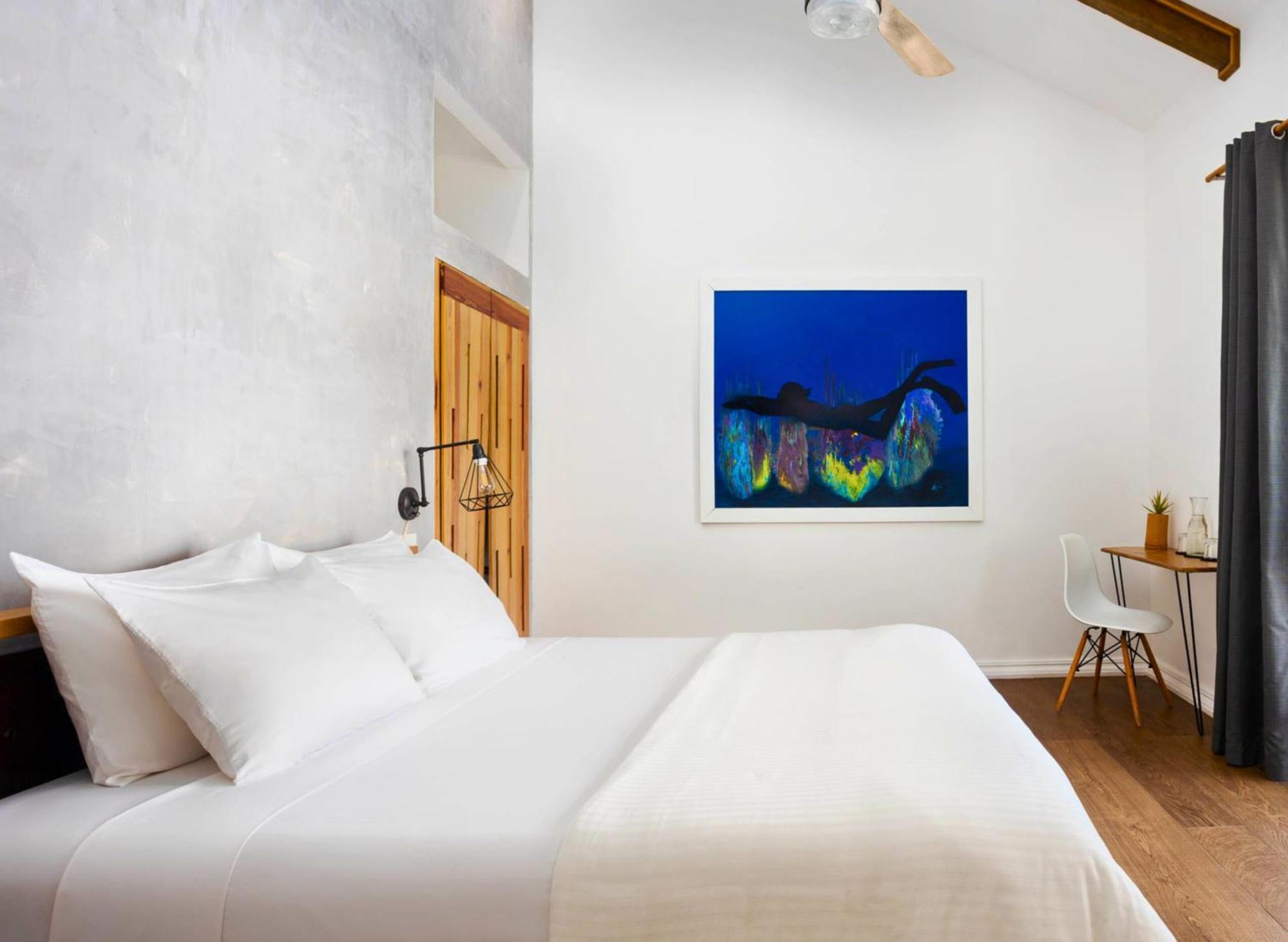 Divers Paradise Boutique Hotel Бокас Номер фото